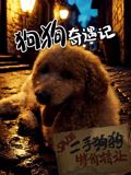 狗狗奇遇记在线观看和下载